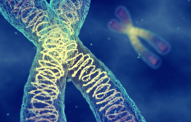 Hämophilie – Entstehung und Vererbung einfach erklärt